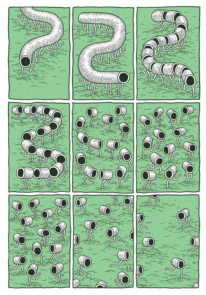 SF_35_jpg_780x950_q85